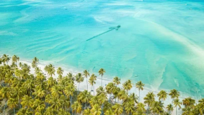 5 praias secretas para conhecer em Maceió